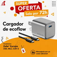Cargador para ecoflow - Img 56946436