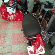 Moto bucatti - Img 57469870