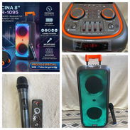 6000w. BOCINA DE FIESTA NDR-1095 8’’ + Micrófono • 6000W P.M.P.O - Img 55284763