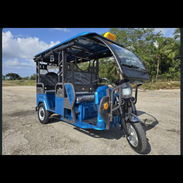 Triciclo eléctrico de paseo con batería de gel 60*58 amperes Velocidad máxima 35 km por hora Capacidad de carga hasta - Img main-image-55366647