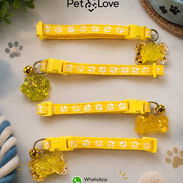 Collar amarillos que le quedan muy lindo a los pequinés listos para personalizar - Img 56718569