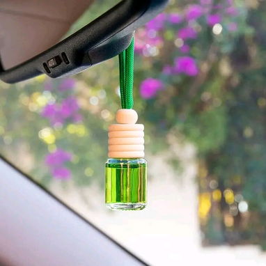 Claxon para auto,ambientador,tapasoles, fusibles soy de la lisa 53546138 - 2/3