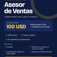 Asesor de ventas para trabajar 100% online desde - Img 58281149