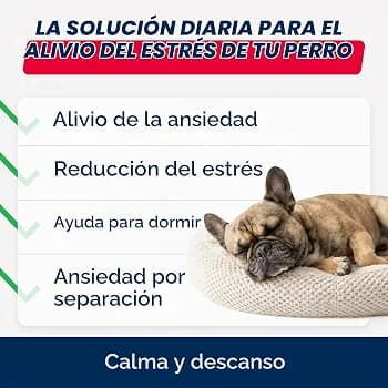 Masticables relajantes StrellaLab para Perros, sabor bacon, 60 masticables - 2/2