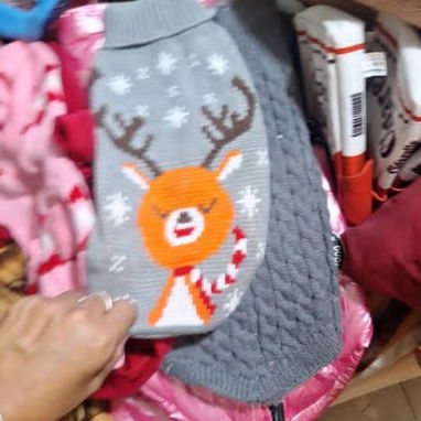 Ropa para mascotas - Img 125124970