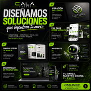 Manual de identidad - Img 56792863