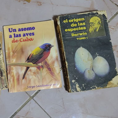 Libros x menos de 500cup - 3/10