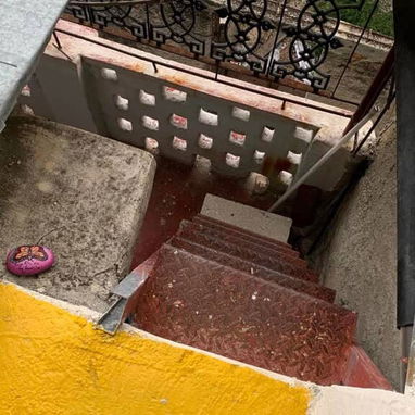 Casa en Vedado - 3/8