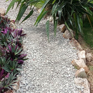Servicio de jardinería - Img 119439289