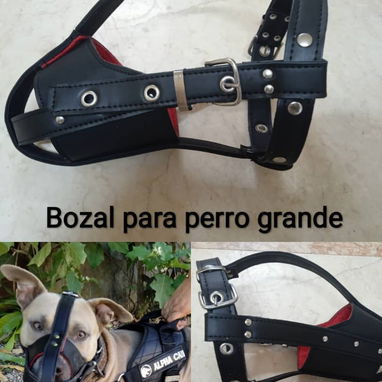 Pecheras para perros - 2/10