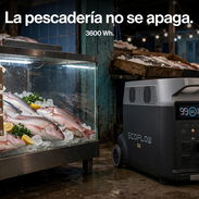 Delta Pro 3600Wh en La Habana: la pescadería no se apaga - 2,190 USD - Img 57973360