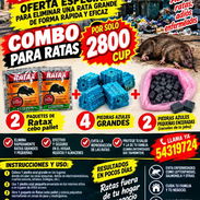 Venenos para ratones y ratas - Img 57604440