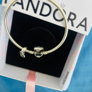 Pandora Rígida original - 2/2