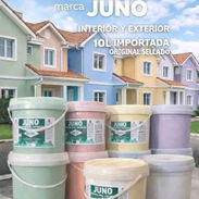 Todo tipo de pintura - Img 54774960