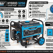 Planta Dual-Fuel marca pulsar - Img 58190281