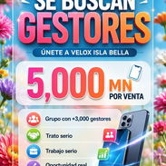 GESTORES DE VENTA - Img 56087812