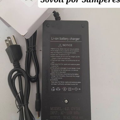 Cargador para moto electrica y triciclo - 3/10