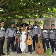 Mariachi Mariachis - Img 56741172