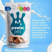 Sustituto de leche para Cachorros - Img 55409148