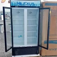 EXHIBIDORA MILEXUS / DOBLE PUERTA / 20 PIES / NUEVO / FRIZZER / NEVERA / - Img 53474971
