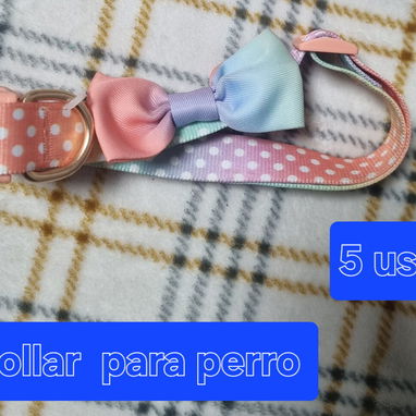 Cama para cachorros - Img 124170017