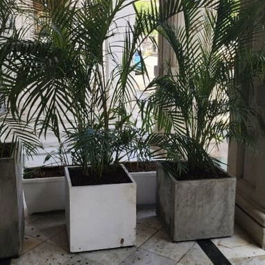 CREAMOS Y DISEÑAMOS JARDINES CON CÉSPED, PLANTAS, PIEDRAS DECORATIVAS, MACETAS Y TODO LO QUE USTED DESEE. JARDINEROS - Img 106930114