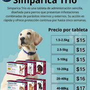 Simparica Trio todos los pesos disponibles - Img 53935371