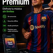 Spotify - Img 57062121