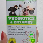 Probióticos y enzimas para perros - Img 53952559