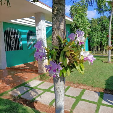Cod.Z 🏡 Renta de Lujo en Reparto Celimar - 3 Cuartos, Piscina y Gran Confort 🏖️ - Img 121327055