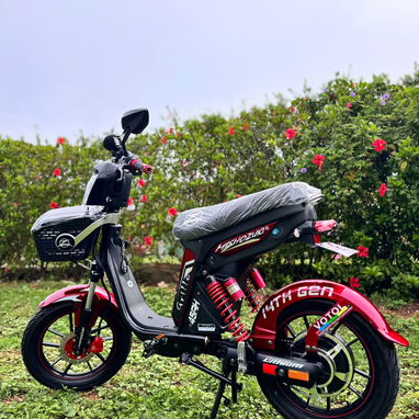 VENDO BICIMOTO MISHOZUKI GRILLO PRO MAX 14 GENERACIÓN [EM] - Img 127084731