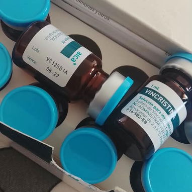 Fluoracilo carboplatino cimaher ciclosfamida carboplatino cisplatino ritusimab isofamida zoladex VINBLASTINA vincritina - 9/10
