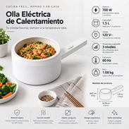 Olla para ecoflow - Img 57784682
