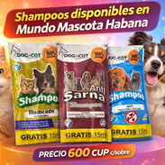 Shampoos 45ml para perros y gatos - Img 54489036