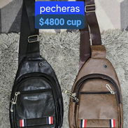 Pecheras - Img 56040144