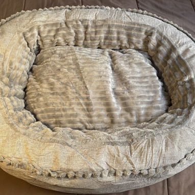 Artículos nuevos para perros - 3/5