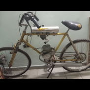 Vendo rigga ruso - Img 57570058