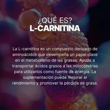L carnitina Farmasi (Quema grasa) - 3/4