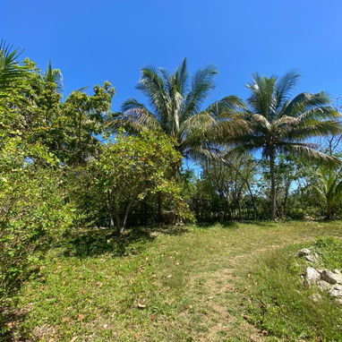 Finca en la zona de la UCI. - Img 125936942