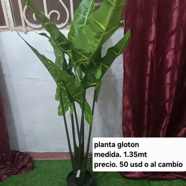 Plantas artificiales - 5/8