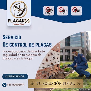 PlagaKØ servicio de Fumigación para exterminar plagas de insectos y roedores. - 2/3