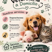 VETERINARIA A DOMICILIO - Img 58205293