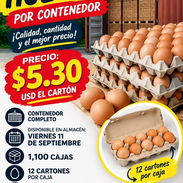 Huevos - Img 57408515