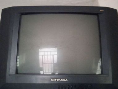 Vendo Tv Panda con flyback roto - Img main-image
