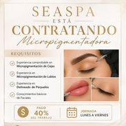Se busca micropigmentadora que sepa realizar cejas labios y delineado - Img 56593256