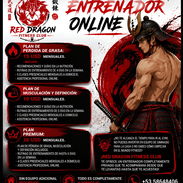 Entrenador Online, Red Dragon Fitness Club🐉👺 - Img 56902033