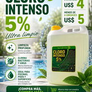 Cloro de 5L al 5% marca Islagram - Img 55184922