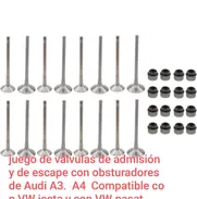 Juego de Válvulas de admisión y de escape con obsturadores de Audi A3 A4 A6  2.0Lt - Img 48895502