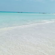 🏝🌊⛱️Casa de renta en Varadero/Alquiler de casa económica en Varadero/Rent a house in Varadero beach/House for rent - Img 56124491