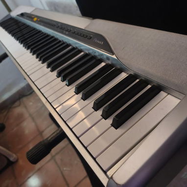 Teclado Casio Privia PX-310 - Img 116158352